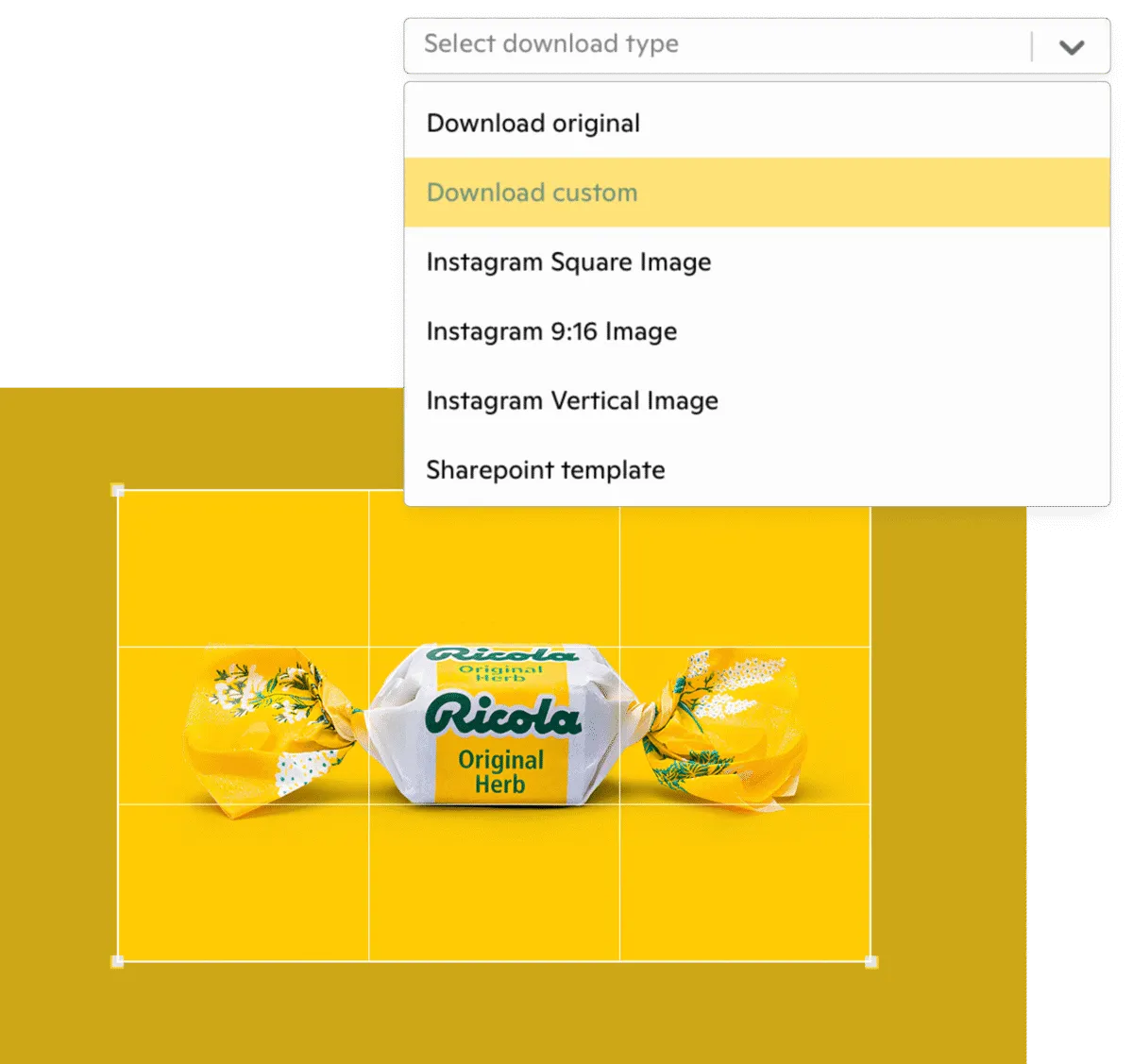 Ricola Kontainer case_Brand Platform